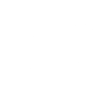 L'auteur